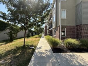 img 0519